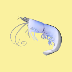 10b57e6 #5149