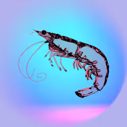 728