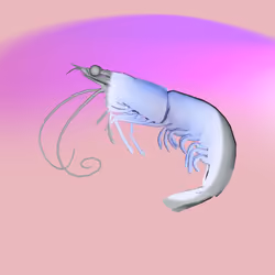 10b57e6 #1003