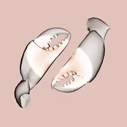 1650