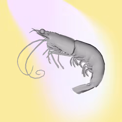 3104
