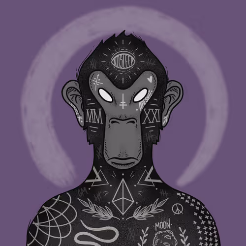 Nomoz Crypto Tats