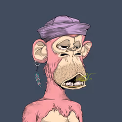 Rekt Ape #9864