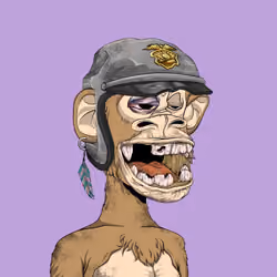 Rekt Ape #641