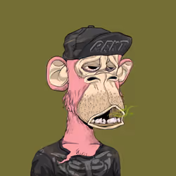 Rekt Ape #536