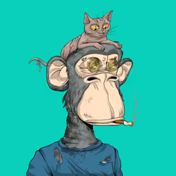 Rekt Ape #4242