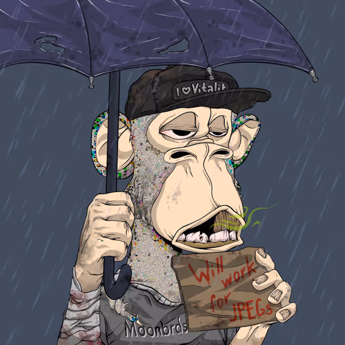 Rektapecopeclub