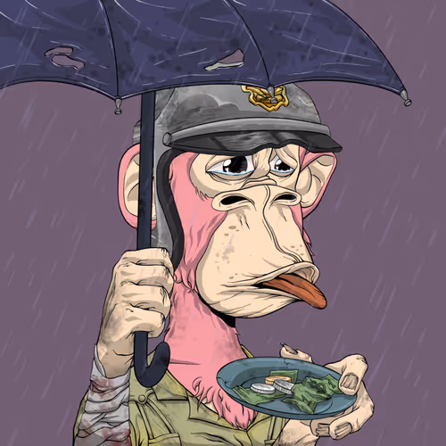 Rektapecopeclub