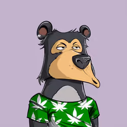 Bear #2262