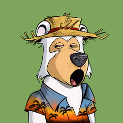Bear #1362