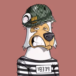 #512