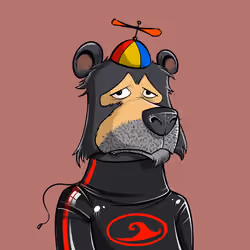 Bear #5541