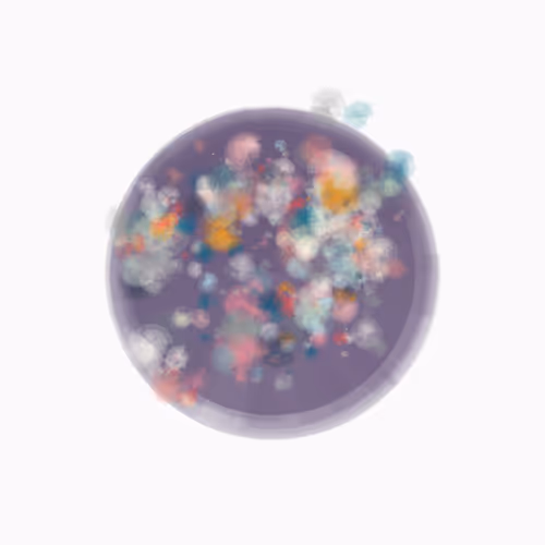 Arua 1