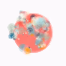 Arua #323