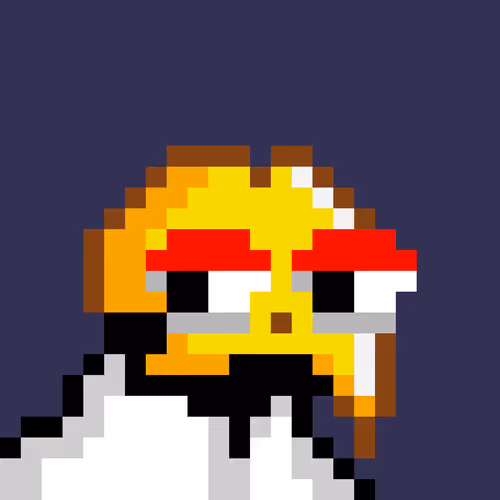 Owlsoffortune