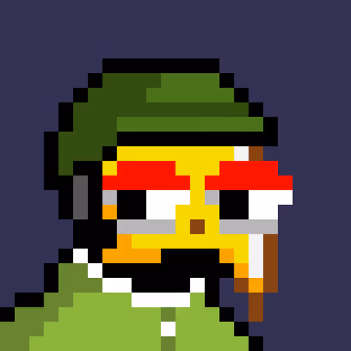 Owlsoffortune