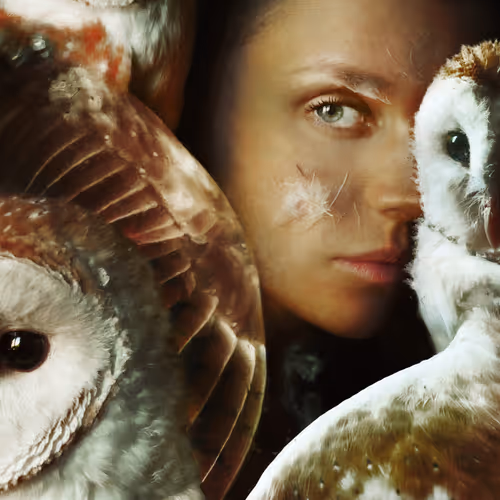 FREEDOM - sbtLe6oTZR