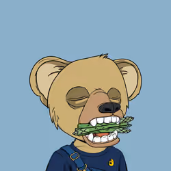 Baby Okay Bears #4457