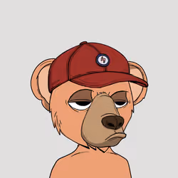 Baby Okay Bears #3512