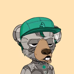 Baby Okay Bears #1717