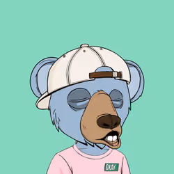 Baby Okay Bears #5971