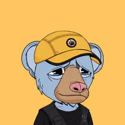 Baby Okay Bears #5264