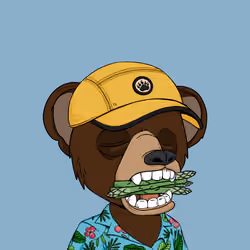 Baby Okay Bears #487