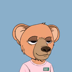 Baby Okay Bears #2485