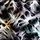 canvas.51 - Color Fields