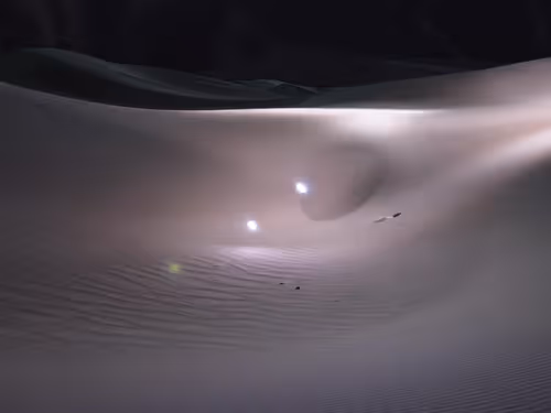 Item #45000020004 Media