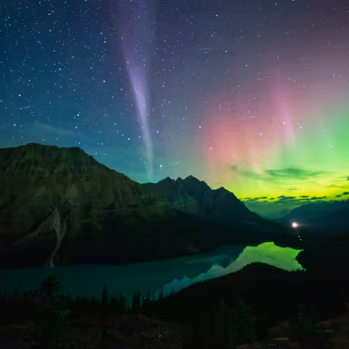 In Search of Stillness