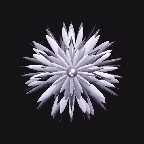 Geophylla By Emily Nicoll