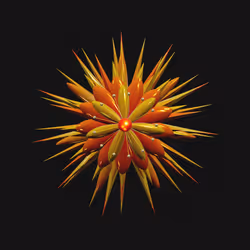 Geophylla #126