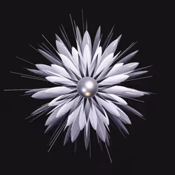 Geophylla #179