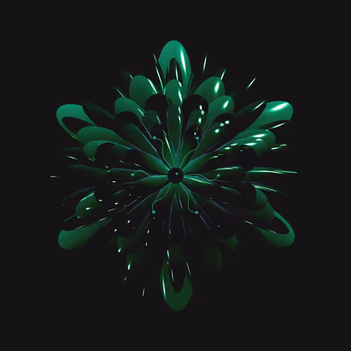 Geophylla By Emily Nicoll