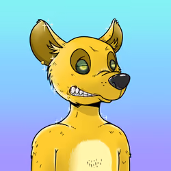 HYENARS #504
