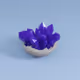 Amethyst Crystal Druse