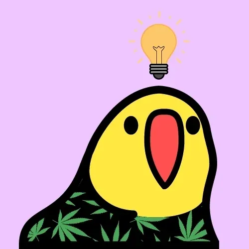 Flockparty
