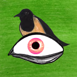 wildeyes#900