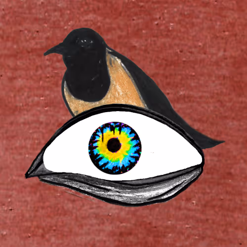 Wildeyesnft