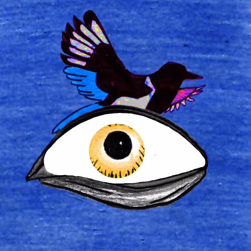 Wildeyesnft