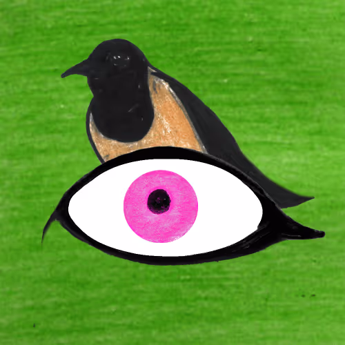 Wildeyesnft