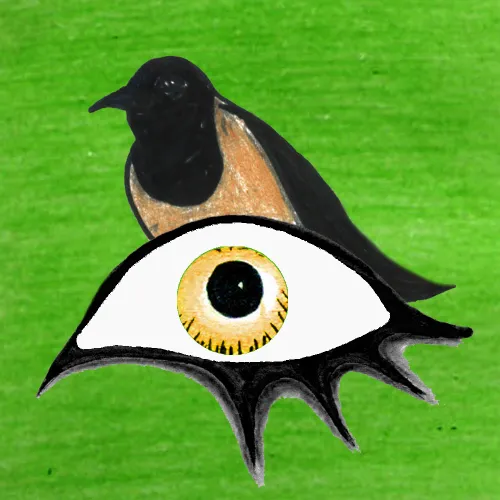 Wildeyesnft