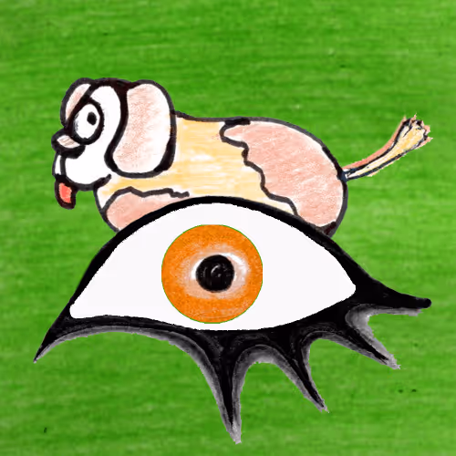 Wildeyesnft