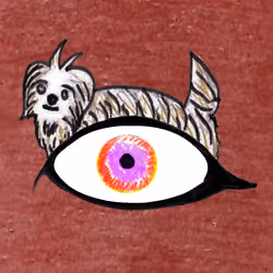wildeyes#1399