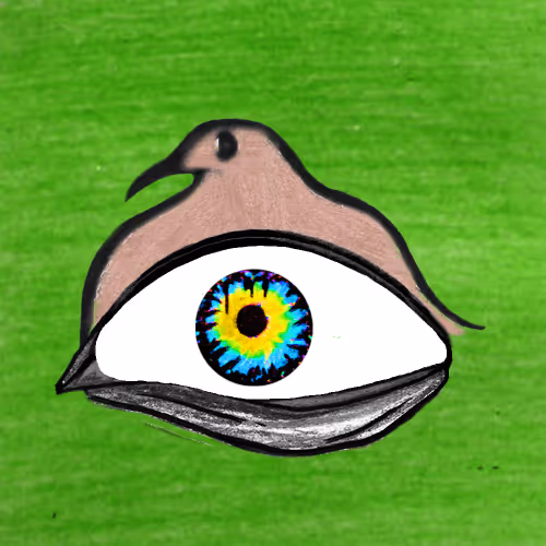 Wildeyesnft