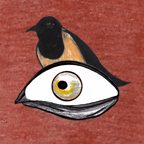 Wildeyesnft