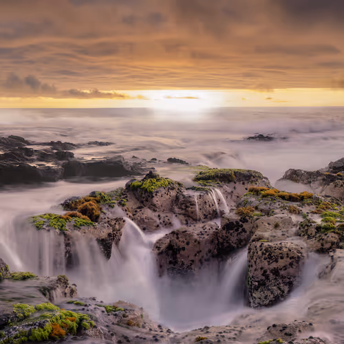 Jason Matias Fine Art