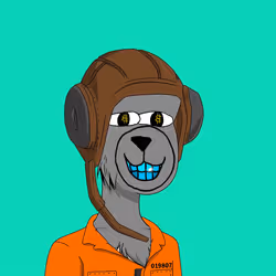 579
