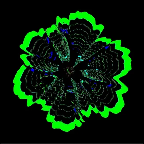 Flower Power 02 | Verde!